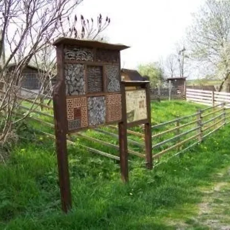 Holiday home Alleenwiesen *